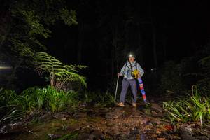 BIB: 
                            <button type="button" onclick="openModal(19247349)" class="btn btn-primary btn-sm float-right btn-popup" data-toggle="modal" data-target=".modal-high-quality">
                        <i class="fas fa-shopping-cart"></i> Add to Cart
                    </button>
                                            <button type="button" onclick="isThisMe(19247349, true)" class="btn btn-success btn-sm float-right btn-popup btn-isme hidden" data-toggle="tooltip" data-placement="bottom" title="นี่คือรูปของคุณใช่ไหม คลิกที่นี่เพื่อเอาเข้าอัลบั้ม">
                        <i class="fas fa-plus"></i> Add to album
                    </button>
                    <button type="button" onclick="isThisMe(19247349, false)" class="btn btn-warning btn-sm float-right btn-popup btn-isnotme hidden">
                        <i class="fas fa-ban"></i> Remove from album
                    </button>